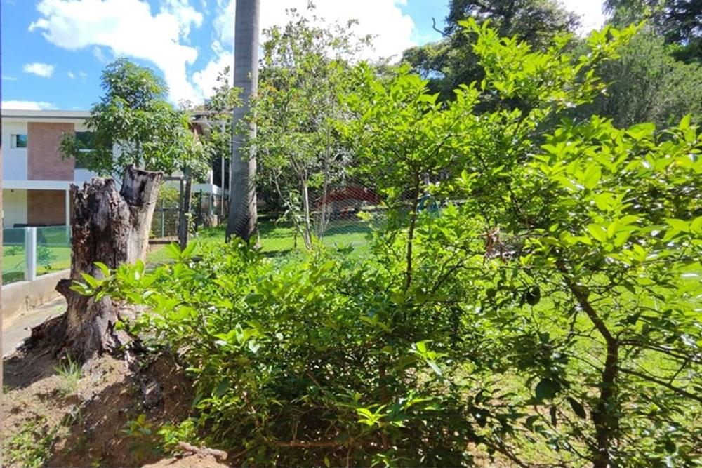 Chácara / Sítio / Fazenda - Venda - Santa Luzia , Minas Gerais - WhatsApp Image 2024-11-25 at 17.56.57 (1).jpeg - Jardim Externo - 870421007-34
