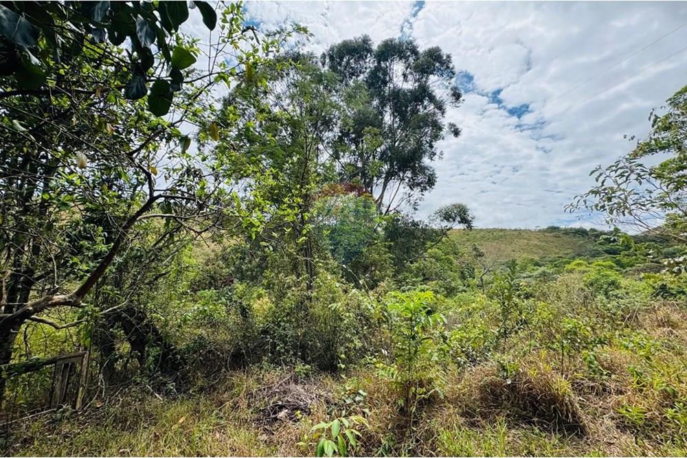 Chácara / Sítio / Fazenda - Venda - Caeté , Minas Gerais - IMG-20251030-WA0324.jpg - 870421116-90