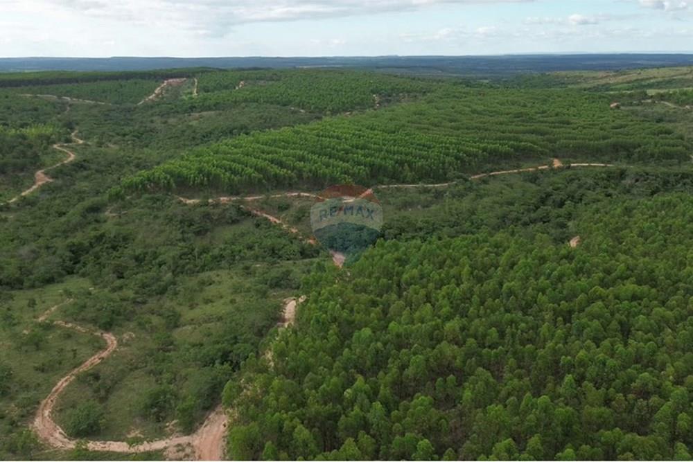 Fazenda - Venda - Inimutaba , Minas Gerais - Imagem instantânea 9.jpg - 870411101-21