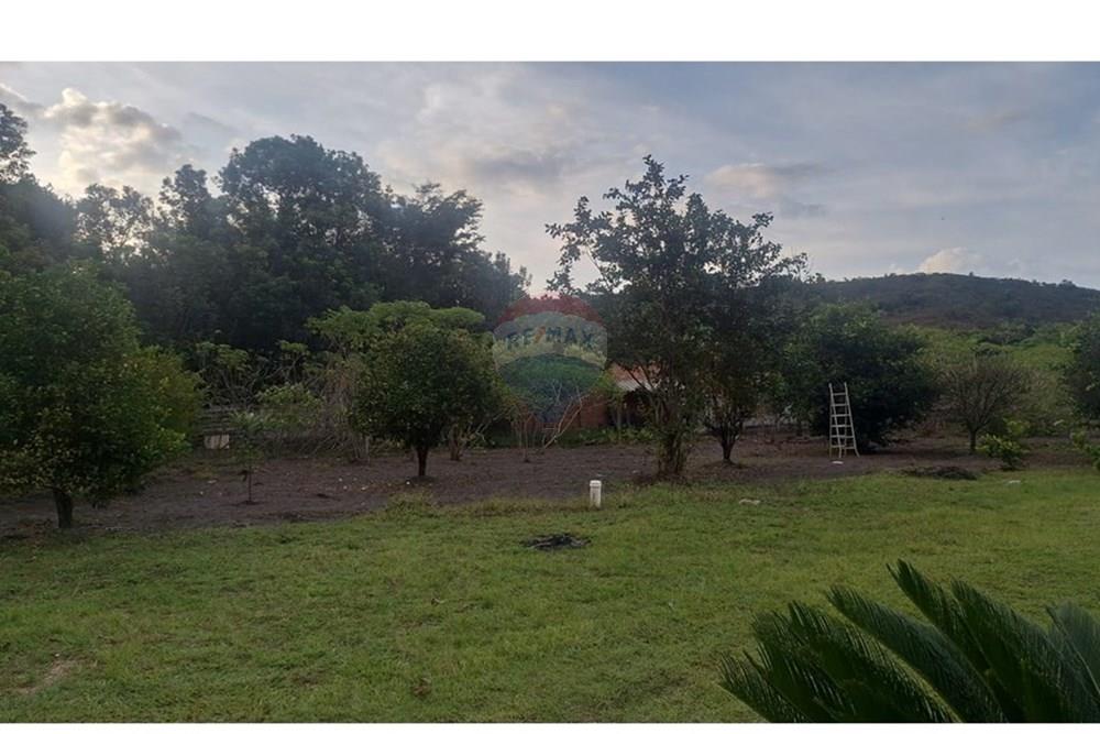 Chácara / Sítio / Fazenda - Venda - Araxá , Minas Gerais - 1.jpeg - Layout aberto - 870431058-36