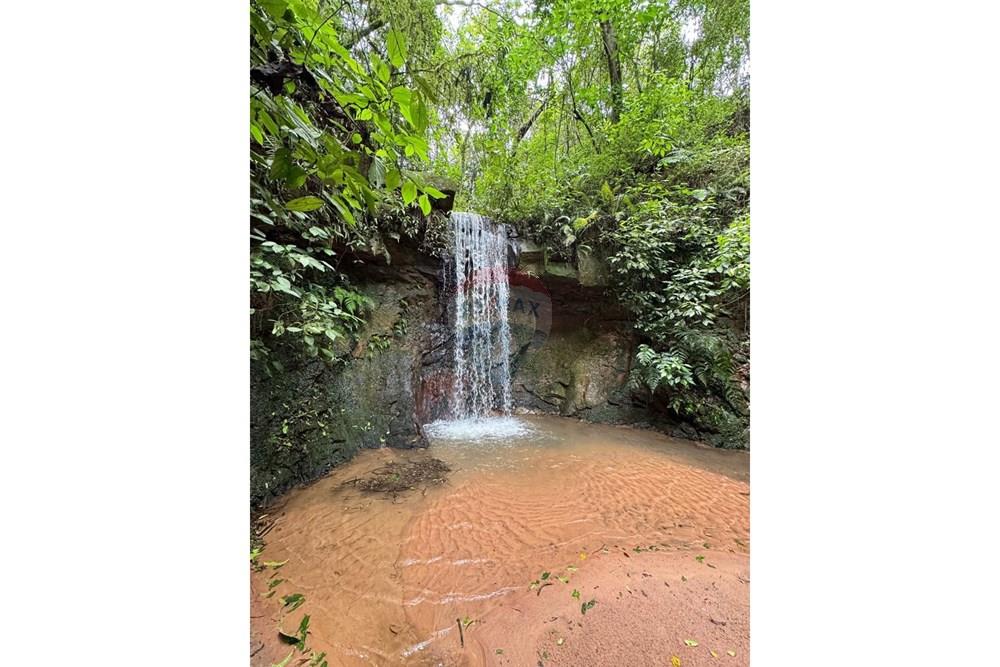 Chácara / Sítio / Fazenda - Venda - São Sebastião do Paraíso , Minas Gerais - SITIO ROMULO BICEGO (5).jpeg - 870811007-131