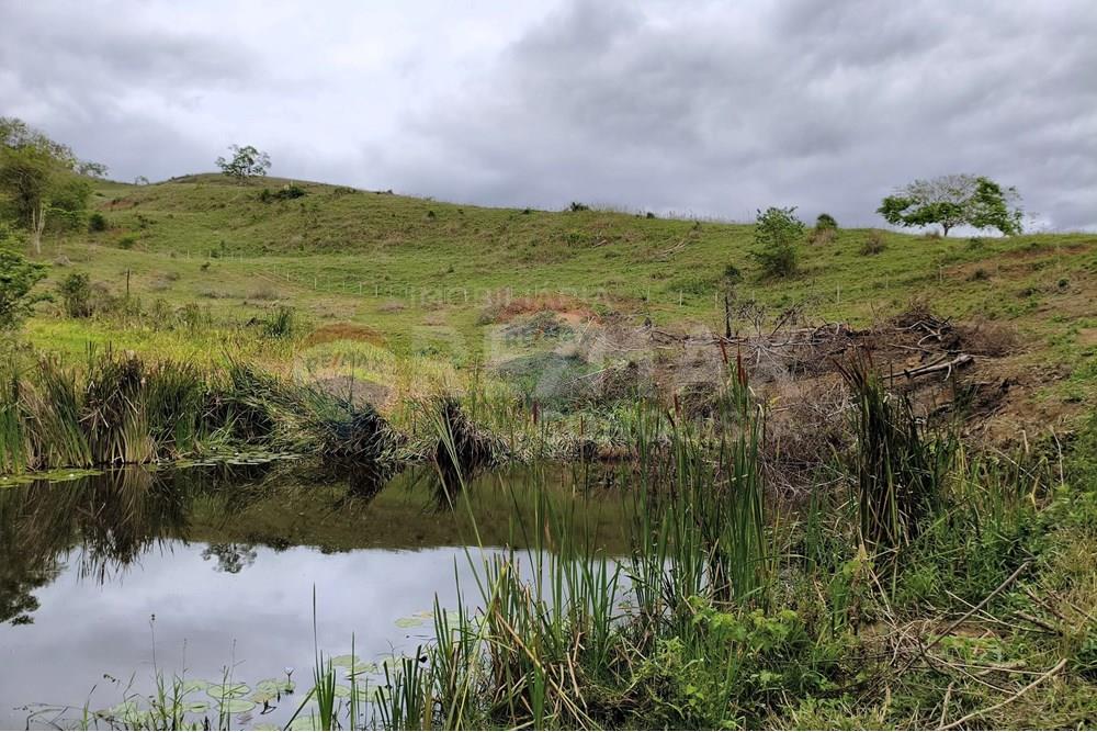 Chácara / Sítio / Fazenda - Venda - Ipanema , Minas Gerais - 0_image_0_watermark_qui._20112025_124336.jpg - 870451013-80