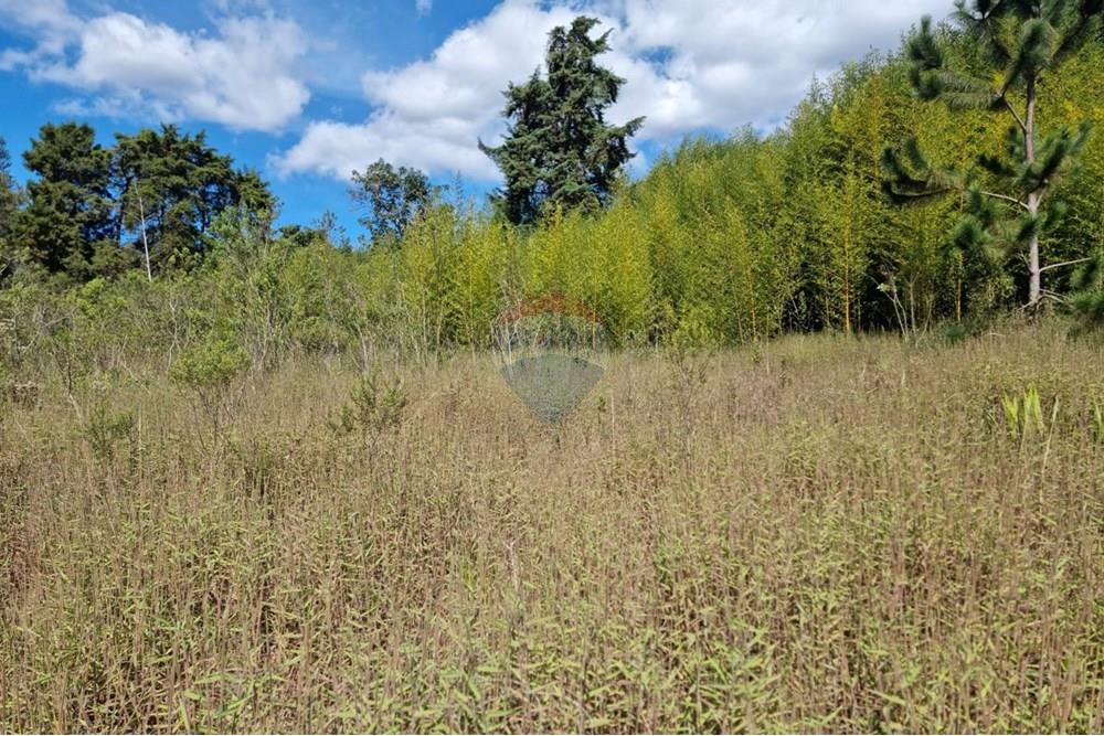 Terreno - Venda - Nova Lima , Minas Gerais - 21.jpeg - 870421084-16