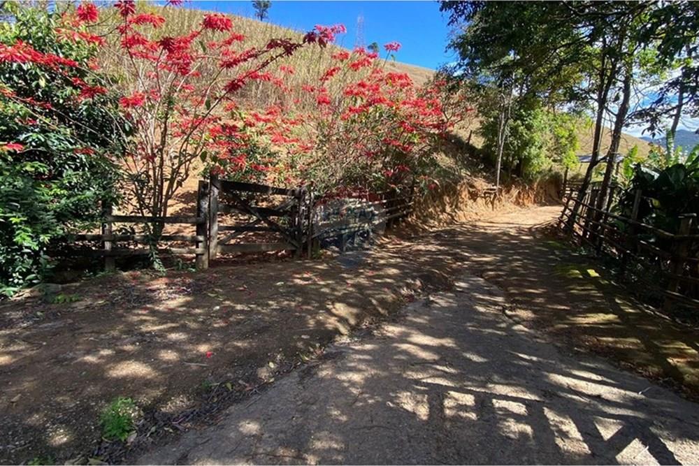 Chácara / Sítio / Fazenda - Venda - Ipatinga , Minas Gerais - WhatsApp Image 2025-10-09 at 17.37.04 (3).jpeg - 870711007-44