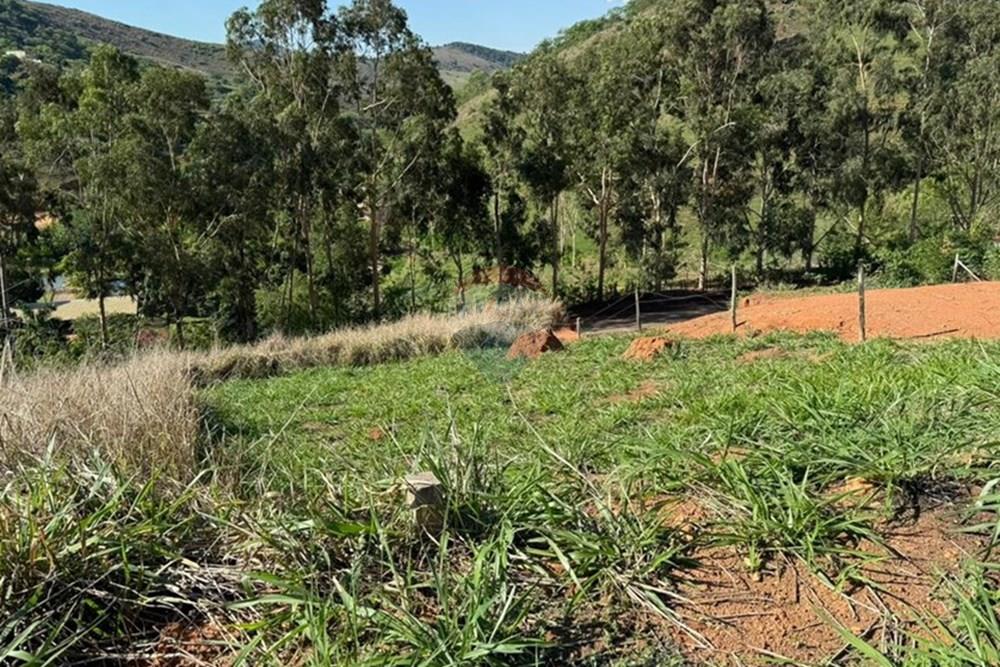 Terreno - Venda - Iapu , Minas Gerais - WhatsApp Image 2025-11-19 at 16.45.03 (1).jpeg - 870711005-22