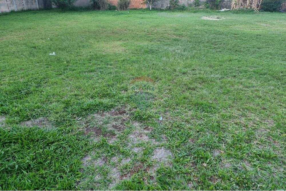 Terreno - Alugar - Nova Lima , Minas Gerais - Foto 20.jpg - 870421084-29