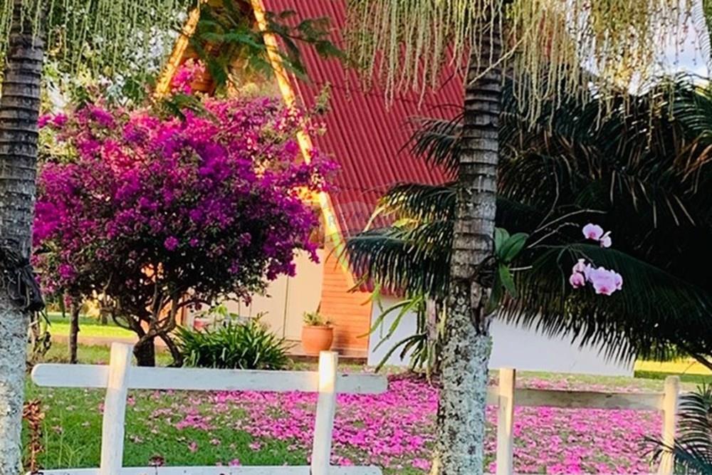 Chácara / Sítio / Fazenda - Venda - Delfinópolis , Minas Gerais - IMG-20250623-WA0018.jpg - 870721005-35