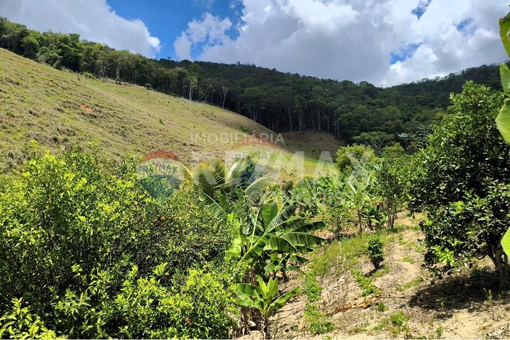 Chácara / Sítio / Fazenda - Venda - Taparuba , Minas Gerais - 3_image_3_watermark_sex._19122025_102210.jpg - 870451001-158