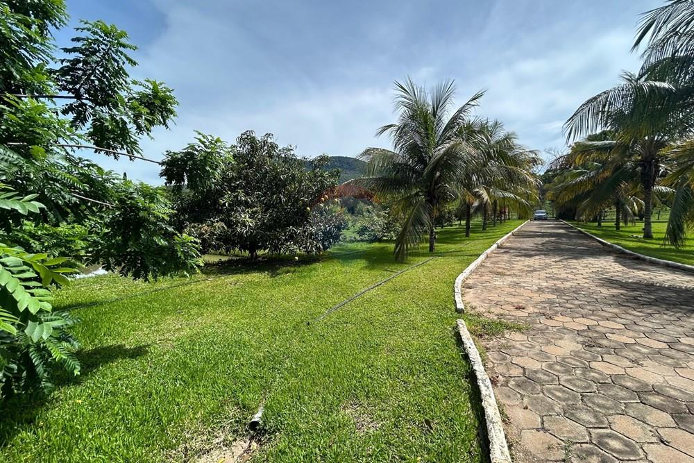 Chácara / Sítio / Fazenda - Venda - Alpercata , Minas Gerais - 14.jpeg - 870671001-168