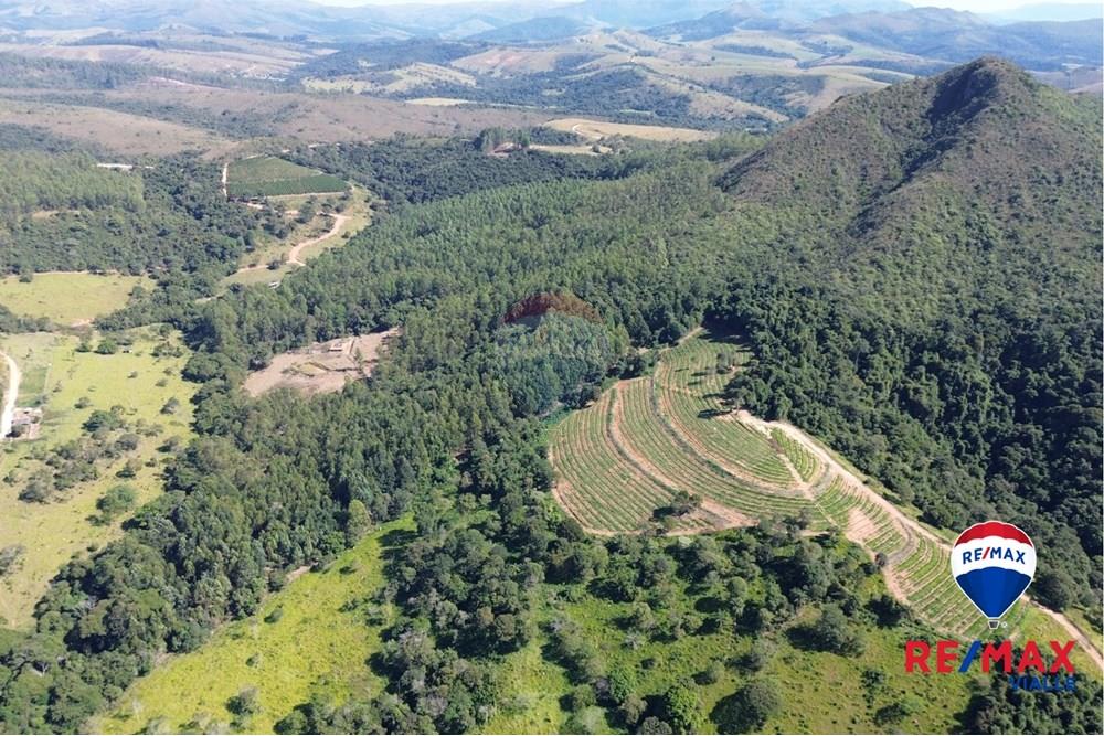 Chácara / Sítio / Fazenda - Venda - São Roque de Minas , Minas Gerais - 036abb4d-1930-427d-890e-2978e708af7d.jpg - 870731003-7