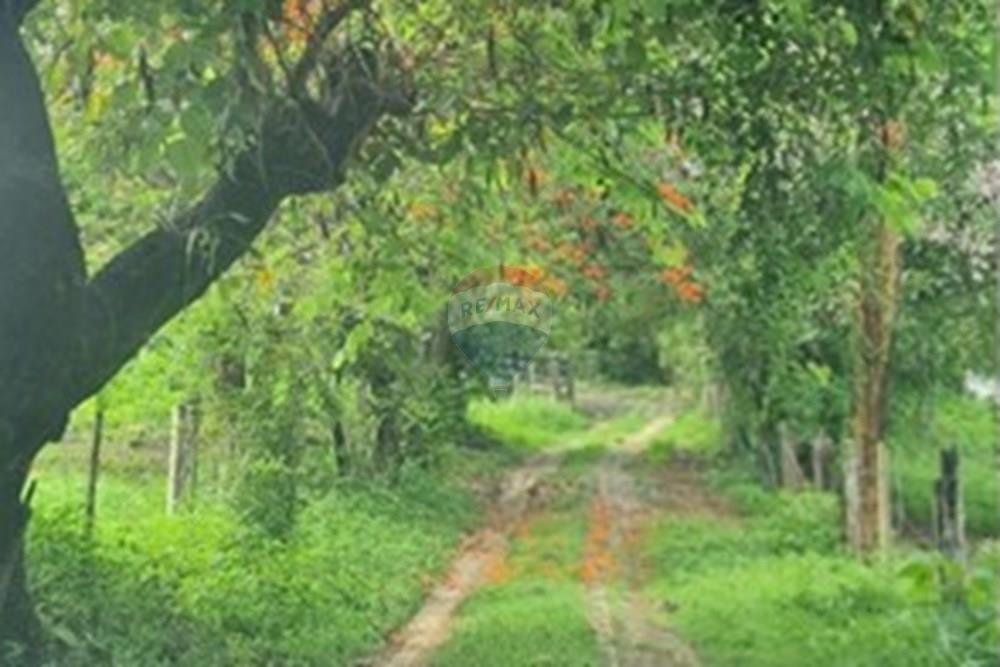 Fazenda - Venda - Pedro Leopoldo , Minas Gerais - WhatsApp Image 2025-12-11 at 15.18.21.jpeg - 870411117-34