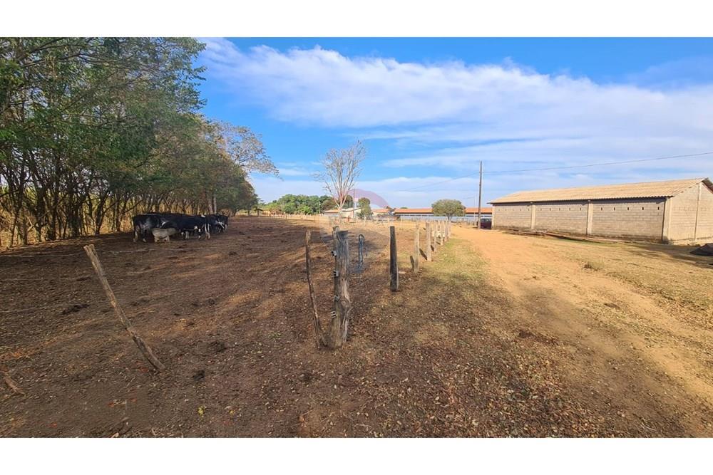 Chácara / Sítio / Fazenda - Venda - Uberaba , Minas Gerais - 21 Fazenda Venda R$ 6.500.000 em Uberaba na Remax 870291025-115.jpeg - 870291025-115