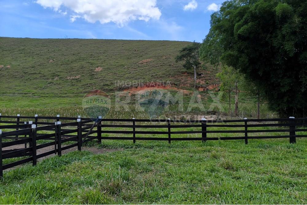 Chácara / Sítio / Fazenda - Venda - Taparuba , Minas Gerais - 0_image_0_watermark_sex._19122025_102038.jpg - 870451001-158