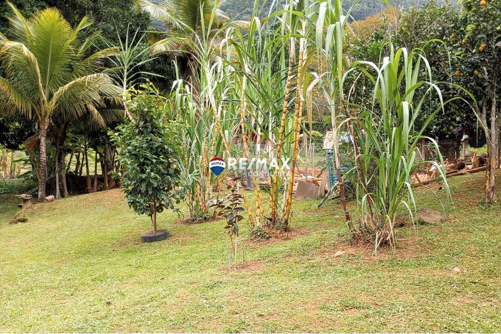 Chácara / Sítio / Fazenda - Venda - Ipanema , Minas Gerais - 4_image_4_watermark_seg._12052025_100202.jpg - 870451004-100