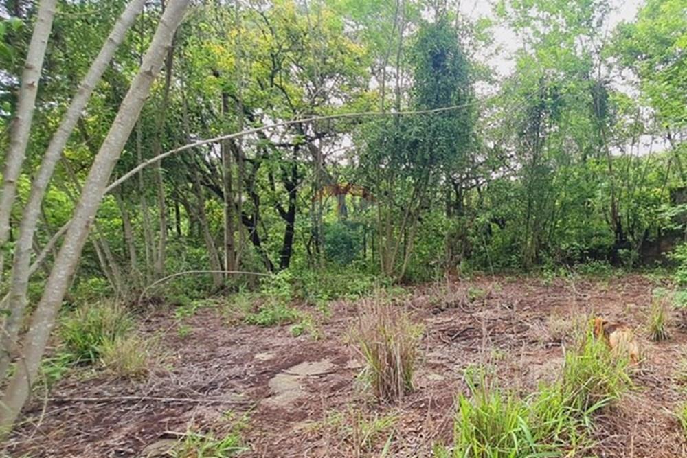 Fazenda - Venda - Pedro Leopoldo , Minas Gerais - WhatsApp Image 2025-12-11 at 15.19.22.jpeg - 870411117-34