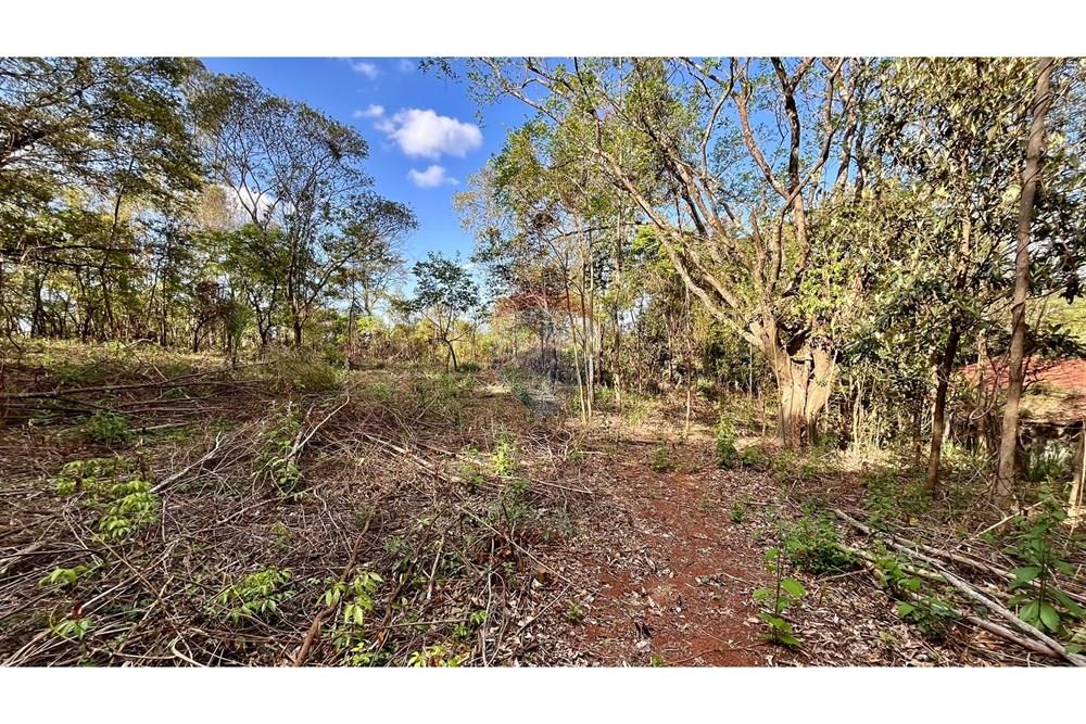 Chácara / Sítio / Fazenda - Venda - Nova Lima , Minas Gerais - WhatsApp Image 2025-10-23 at 11.25.30.jpeg - 870351032-22