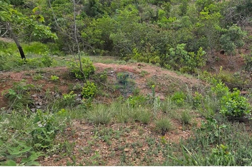 Terreno - Venda - Felixlândia , Minas Gerais - WhatsApp Image 2025-12-11 at 16.54.41 (5).jpeg - 870411117-5