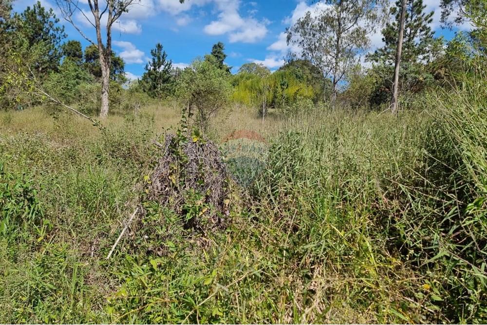 Terreno - Venda - Nova Lima , Minas Gerais - 9.jpeg - 870421084-16