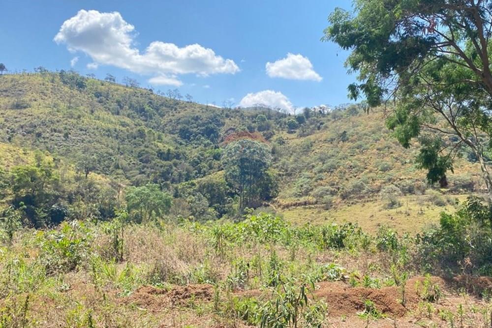 Chácara / Sítio / Fazenda - Venda - Casa Grande , Minas Gerais - WhatsApp Image 2025-11-10 at 11.27.38 (1).jpeg - 870411117-20