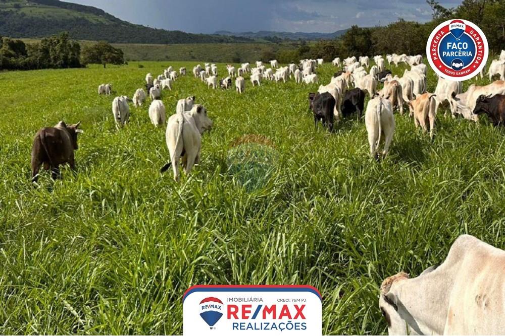 Gyvenamasis - Ferma - Patos de Minas , Minas Gerais - BR - 19.jpg - 870631011-31