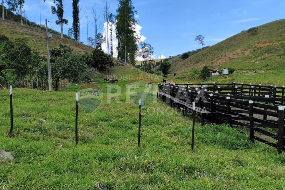Chácara / Sítio / Fazenda - Venda - Taparuba , Minas Gerais - 8_image_8_watermark_sex._19122025_102006.jpg - 870451001-158