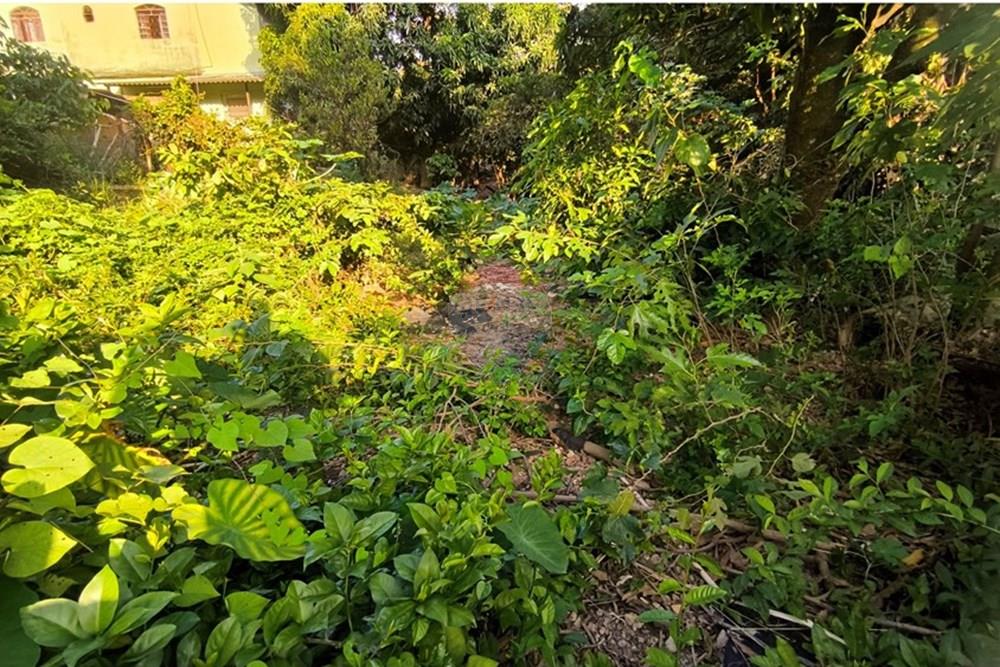 Terreno - Venda - Ibirité , Minas Gerais - 1744312819546.jpg - 870421081-6