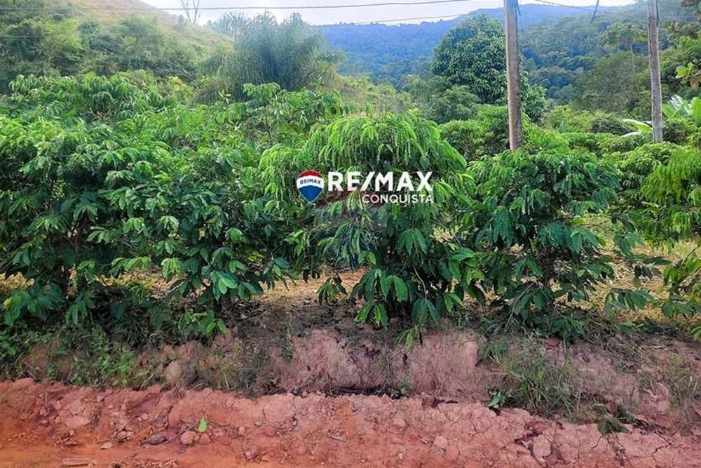 Chácara / Sítio / Fazenda - Venda - Ipanema , Minas Gerais - 3_IMG_20240515_081342_watermark_dom._23062024_100051.jpg - 870451001-121