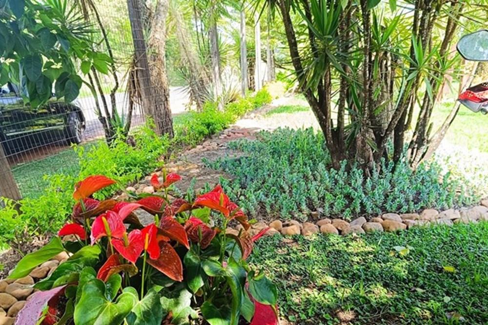 Terreno - Venda - Brumadinho , Minas Gerais - WhatsApp Image 2025-11-20 at 10.07.24.jpeg - 870421014-359