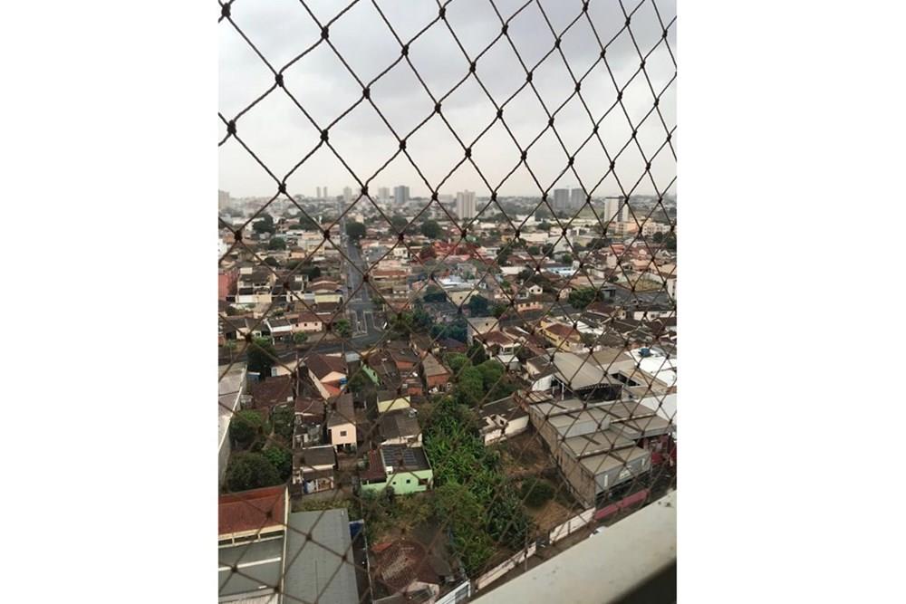 Apartamento - Venda - Uberaba , Minas Gerais - WhatsApp Image 2025-09-22 at 17.01.19.jpeg - 870291002-453