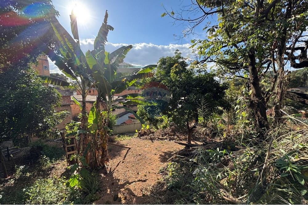 Terreno - Venda - Belo Horizonte , Minas Gerais - IMG_0289.JPG - 870411048-65