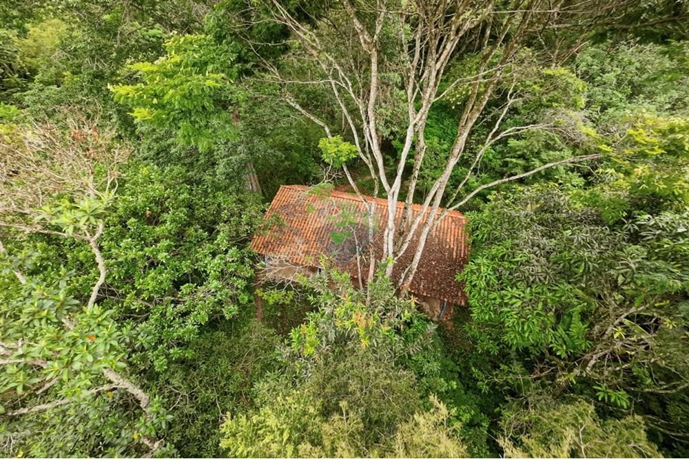 Chácara / Sítio / Fazenda - Venda - Ouro Preto , Minas Gerais - IMG_6082.jpeg - 870421104-14
