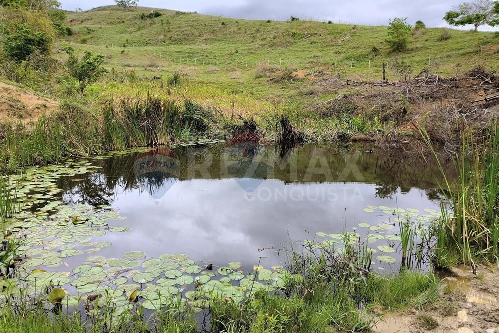 Chácara / Sítio / Fazenda - Venda - Ipanema , Minas Gerais - 1_image_1_watermark_qui._20112025_124336.jpg - 870451013-80