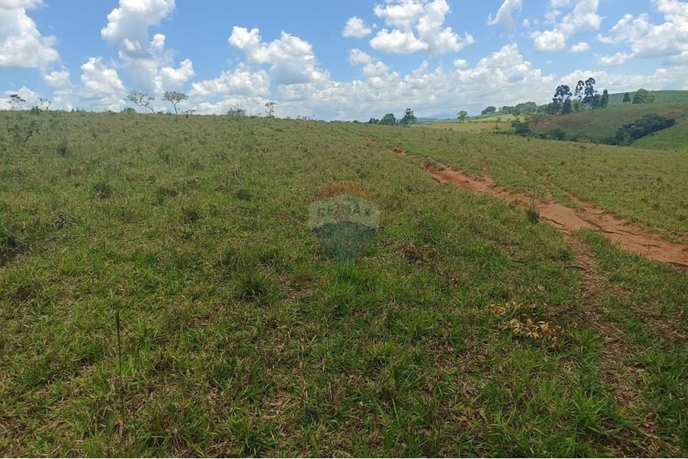 Chácara / Sítio / Fazenda - Venda - Cruzília , Minas Gerais - WhatsApp Image 2025-04-17 at 14.21.21.jpeg - 870361041-110