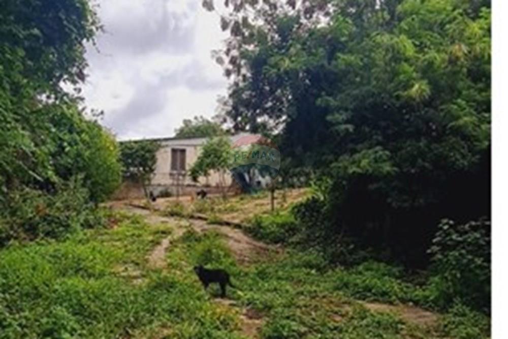 Fazenda - Venda - Pedro Leopoldo , Minas Gerais - WhatsApp Image 2025-12-11 at 15.18.52.jpeg - 870411117-34