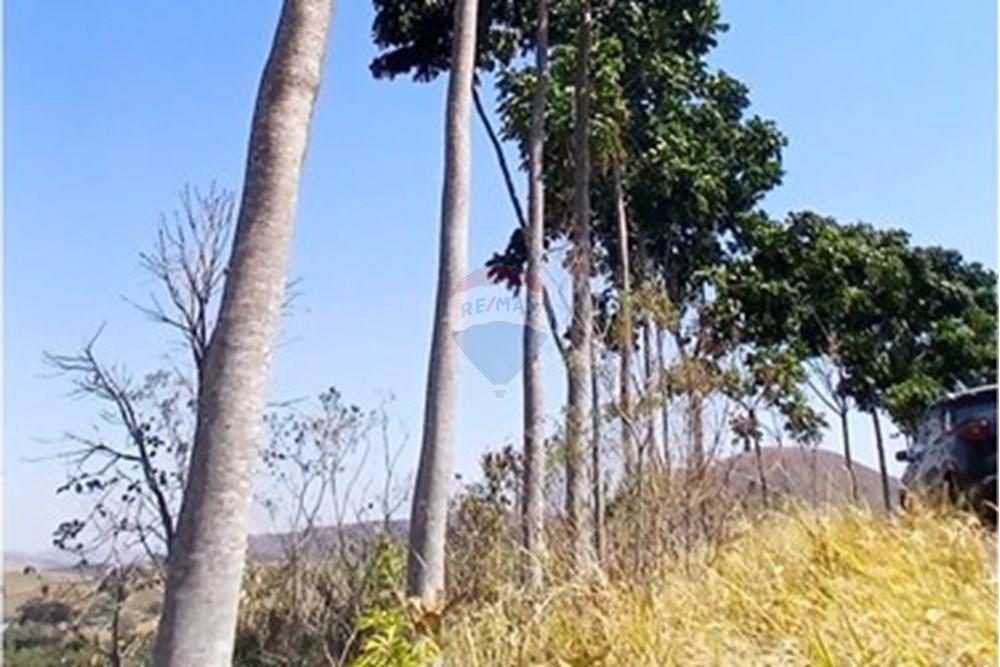 Chácara / Sítio / Fazenda - Venda - Piumhi , Minas Gerais - 20250816_121614.jpg - 870411101-9