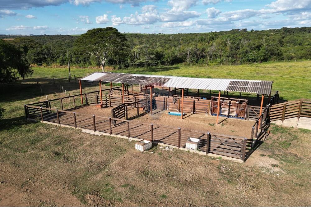 Fazenda - Venda - Uberaba , Minas Gerais - B1.jpeg - 870291037-12