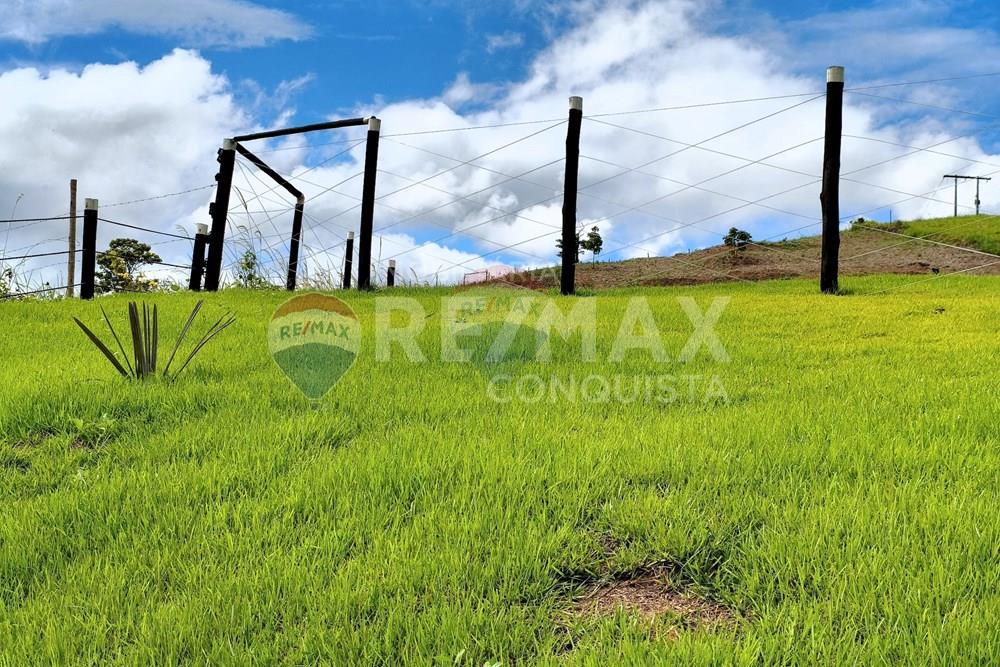 Chácara / Sítio / Fazenda - Venda - Conceição de Ipanema , Minas Gerais - 8_image_8_watermark_dom._11012026_131457.jpg - 870451004-113