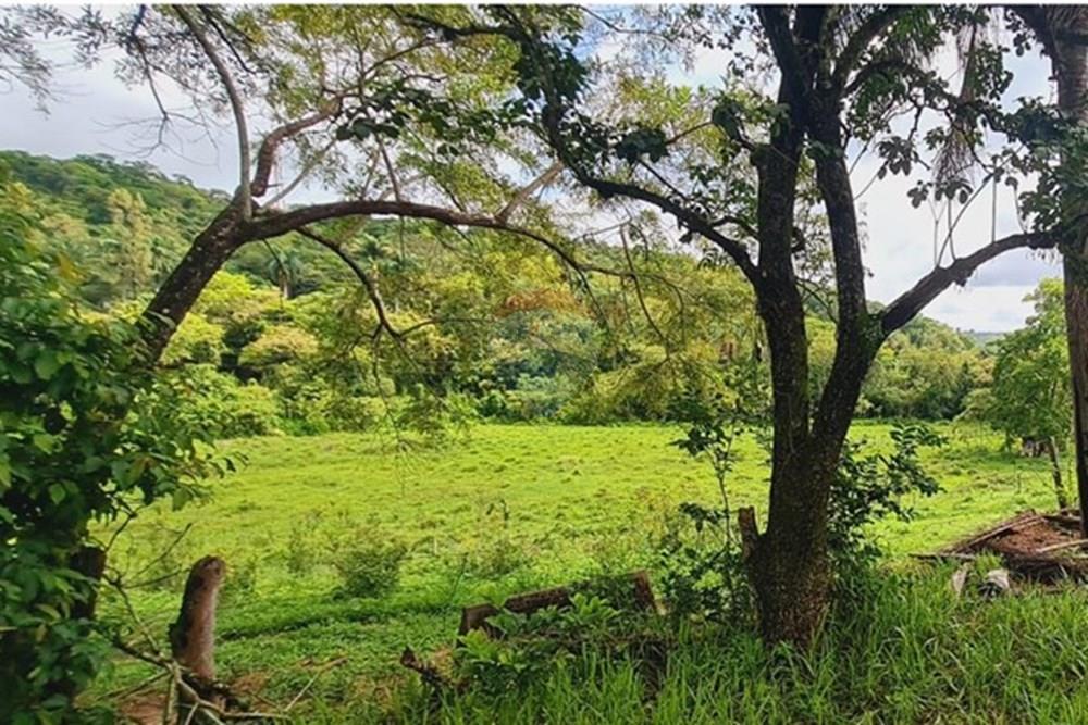 Fazenda - Venda - Pedro Leopoldo , Minas Gerais - WhatsApp Image 2025-12-11 at 15.19.28 (1).jpeg - 870411117-34