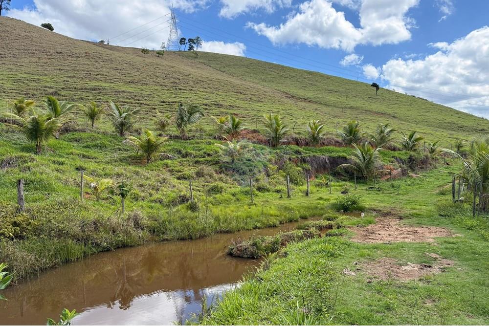 Chácara / Sítio / Fazenda - Venda - Ipatinga , Minas Gerais - WhatsApp Image 2025-11-12 at 17.37.12.jpeg - 870711007-44