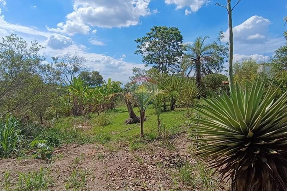 Terreno - Venda - Brumadinho , Minas Gerais - WhatsApp Image 2025-11-20 at 10.07.24 (2).jpeg - 870421014-349