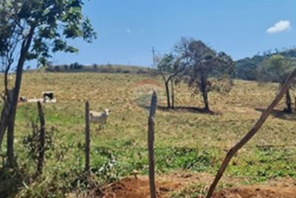 Chácara / Sítio / Fazenda - Venda - Casa Grande , Minas Gerais - foto 21.jpeg - 870411117-20
