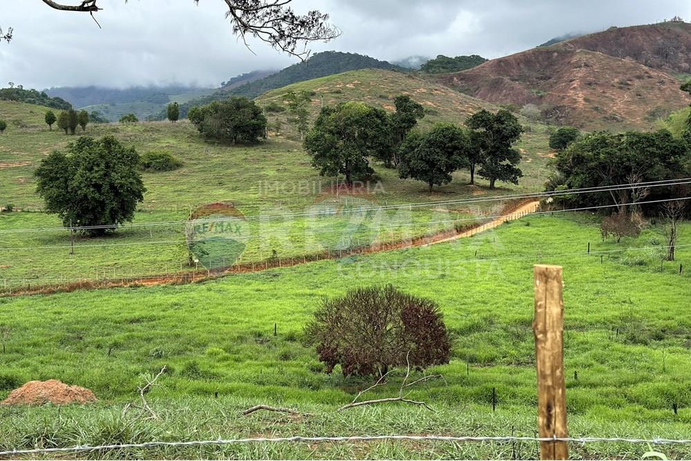 Terreno - Venda - Ipanema , Minas Gerais - 7_image_7_watermark_seg._15122025_151709.jpg - 870451001-157