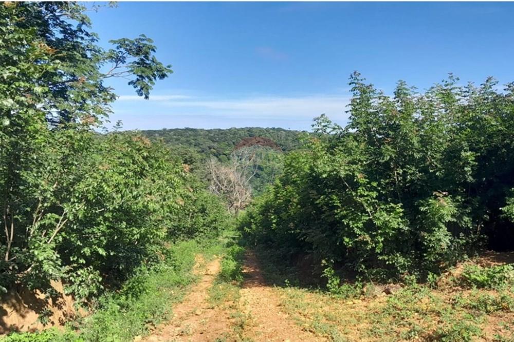 Terreno - Venda - Lagoa Santa , Minas Gerais - FOTO8 FAZENDA .jpg - Loft - 870421119-51