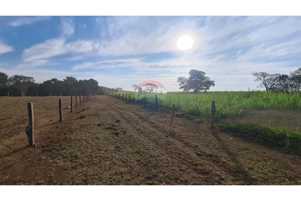 Chácara / Sítio / Fazenda - Venda - Uberaba , Minas Gerais - 14 Fazenda Venda R$ 6.500.000 em Uberaba na Remax 870291025-115.jpeg - 870291025-115