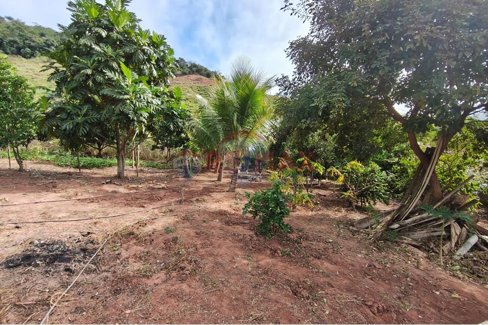 Chácara / Sítio / Fazenda - Venda - Ipanema , Minas Gerais - 7_image_7_watermark_sáb._21062025_165010.jpg - 870451013-66