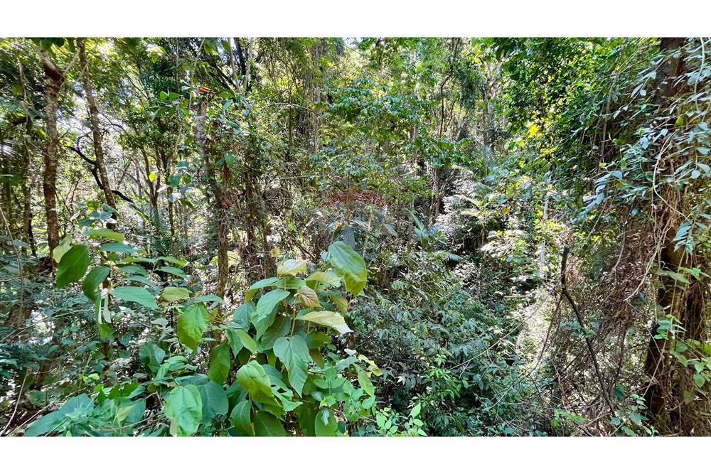 Terreno - Venda - Nova Lima , Minas Gerais - WhatsApp Image 2025-11-04 at 10.48.10 (4).jpeg - 870351032-24