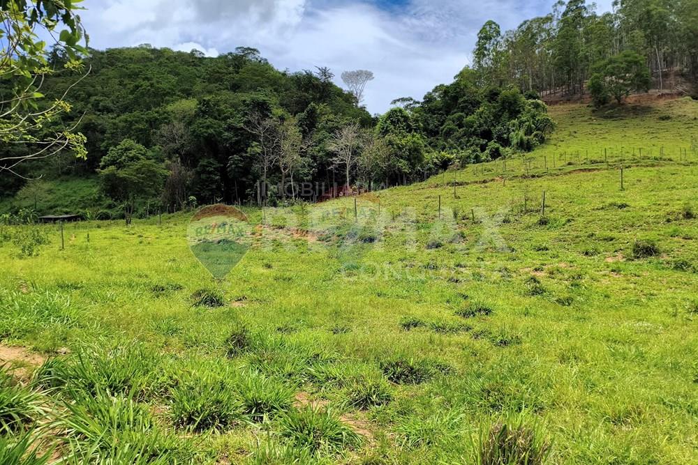 Chácara / Sítio / Fazenda - Venda - Taparuba , Minas Gerais - 6_image_6_watermark_ter._17022026_130522.jpg - 870451001-165
