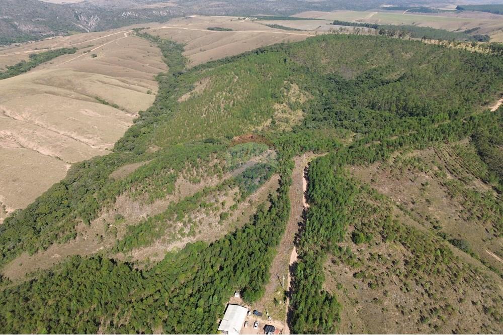 Chácara / Sítio / Fazenda - Venda - Araxá , Minas Gerais - DJI_0332.JPG - 870431045-49