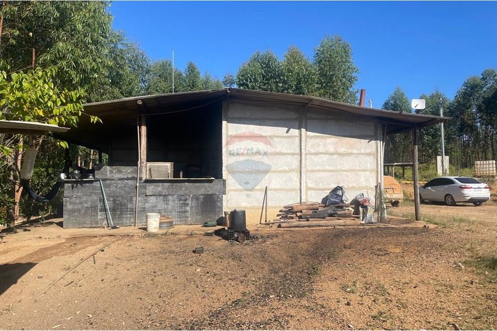 Chácara / Sítio / Fazenda - Venda - Araxá , Minas Gerais - IMG-20250715-WA0053.jpg - 870431045-49