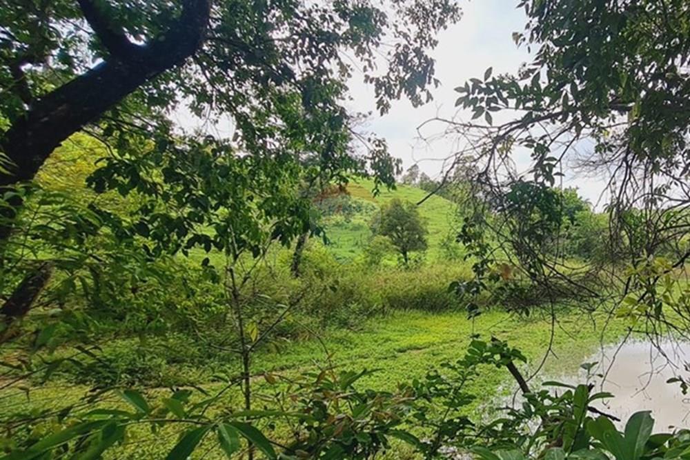 Fazenda - Venda - Pedro Leopoldo , Minas Gerais - WhatsApp Image 2025-12-11 at 16.48.53.jpeg - 870411117-34